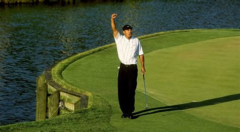 Chapter 3: The Tiger Slam .